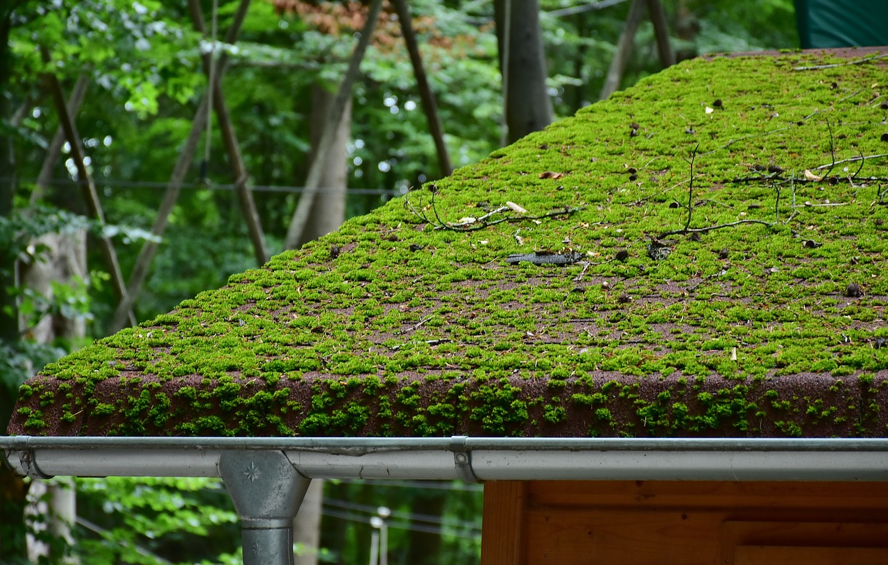 Uszczelnianie dachu z papy- stosowanie uszczelniacza lakma pozwoli pozbyć się problemu nieszczelności dachu